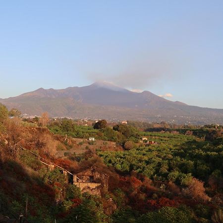 Il Pampaleone Glamping And Resort Acireale Exteriér fotografie
